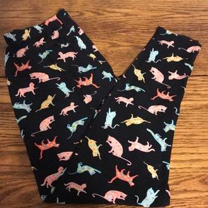 Cat 🐈 Leggings, Plus Size